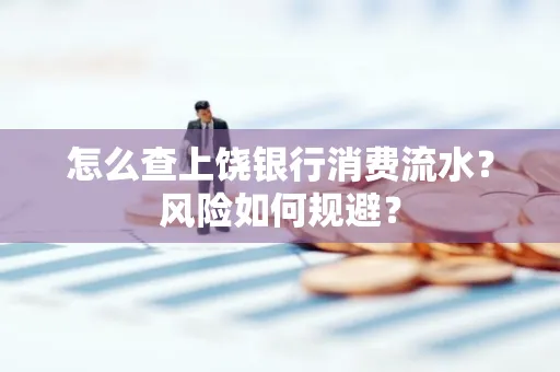 怎么查上饶银行消费流水?风险如何规避?