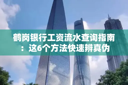 鹤岗银行工资流水查询指南:这6个方法快速辨真伪