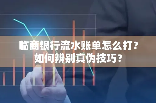 临商银行流水账单怎么打?如何辨别真伪技巧? 临商银行流水账单怎么打?如何辨别真伪技巧?