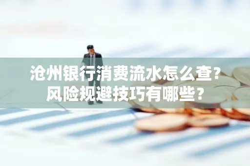 沧州银行消费流水怎么查?风险规避技巧有哪些?