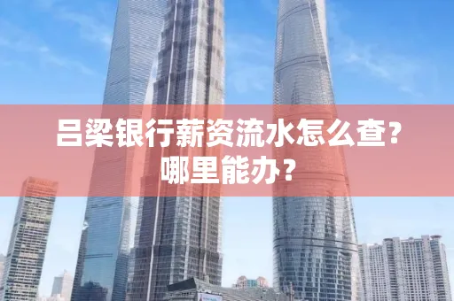 吕梁银行薪资流水怎么查?哪里能办?
