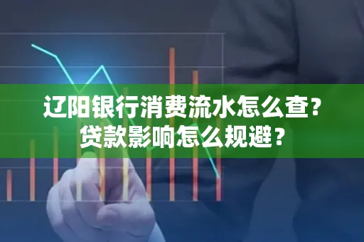 辽阳银行消费流水怎么查?贷款影响怎么规避?