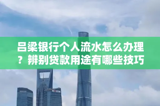 吕梁银行个人流水怎么办理?辨别贷款用途有哪些技巧?