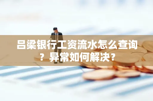 吕梁银行工资流水怎么查询?异常如何解决?