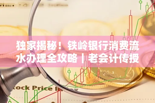 独家揭秘!铁岭银行消费流水办理全攻略|老会计传授防诈技巧