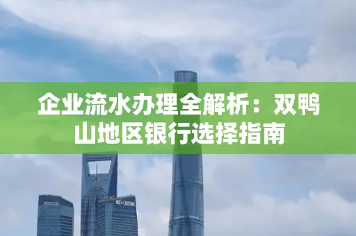 企业流水办理全解析:双鸭山地区银行选择指南