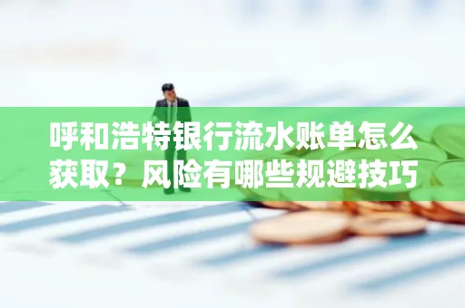 呼和浩特银行流水账单怎么获取?风险有哪些规避技巧!
