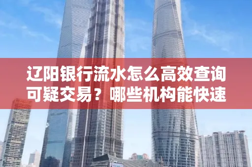 辽阳银行流水怎么高效查询可疑交易?哪些机构能快速分析账单风险?