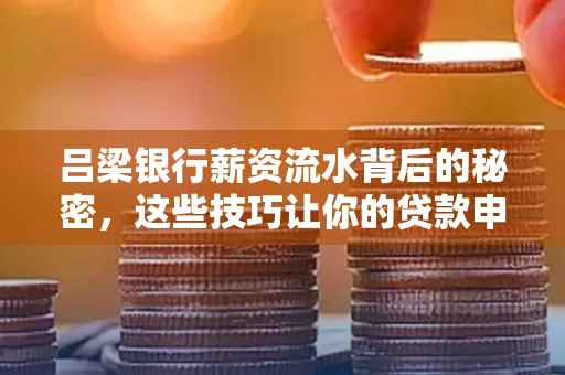 吕梁银行薪资流水背后的秘密,这些技巧让你的贷款申请快人一步
