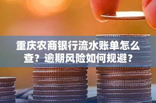 重庆农商银行流水账单怎么查?逾期风险如何规避?