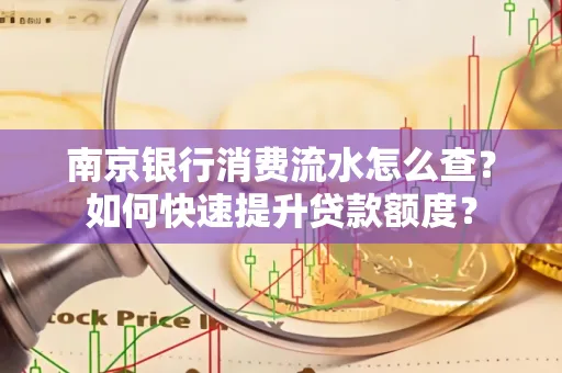 南京银行消费流水怎么查?如何快速提升贷款额度?