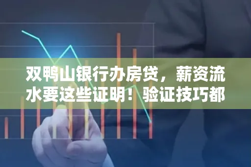 双鸭山银行办房贷,薪资流水要这些证明!验证技巧都在这里!