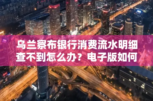 乌兰察布银行消费流水明细查不到怎么办?电子版如何获取攻克技巧?