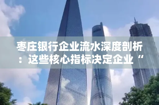 枣庄银行企业流水深度剖析:这些核心指标决定企业“钱袋子”健康度