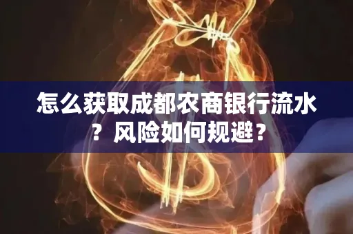 怎么获取成都农商银行流水?风险如何规避?
