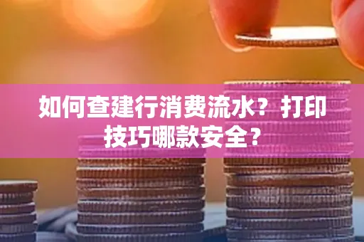 如何查建行消费流水?打印技巧哪款安全?